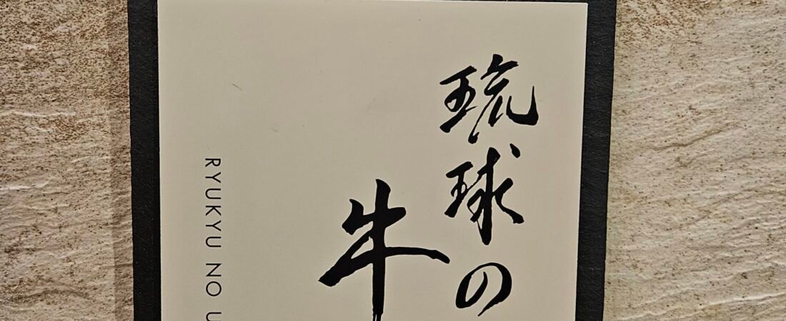 오키나와 아메리칸빌리지 맛집 류큐노우시 차탄점 후기, 아이와 가도 좋은 야키니쿠 코스